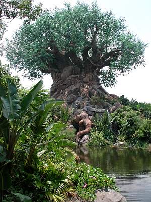 disney_2000_161_Disney2000 WDW Animal Kingdom 1 June-537.JPG